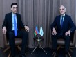 Fərid Qayıbov GUAM-ın baş katibi ilə görüşüb